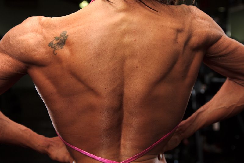 image shows: Latissimus Dorsi 001